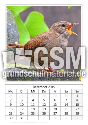 Dezember_Zaunkönig.pdf